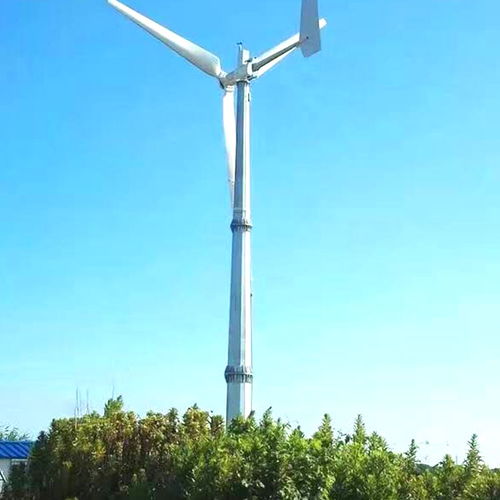 衢江晟成30千瓦風力發電機 高效風光互補系統引領綠色能源新風尚